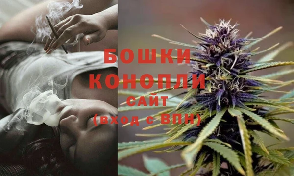 прущий лед Арсеньев