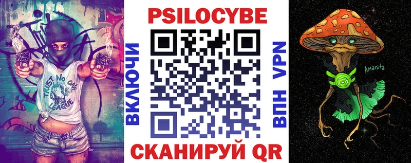 Галлюциногенные грибы MAGIC MUSHROOMS  Купить где  Новомичуринск 